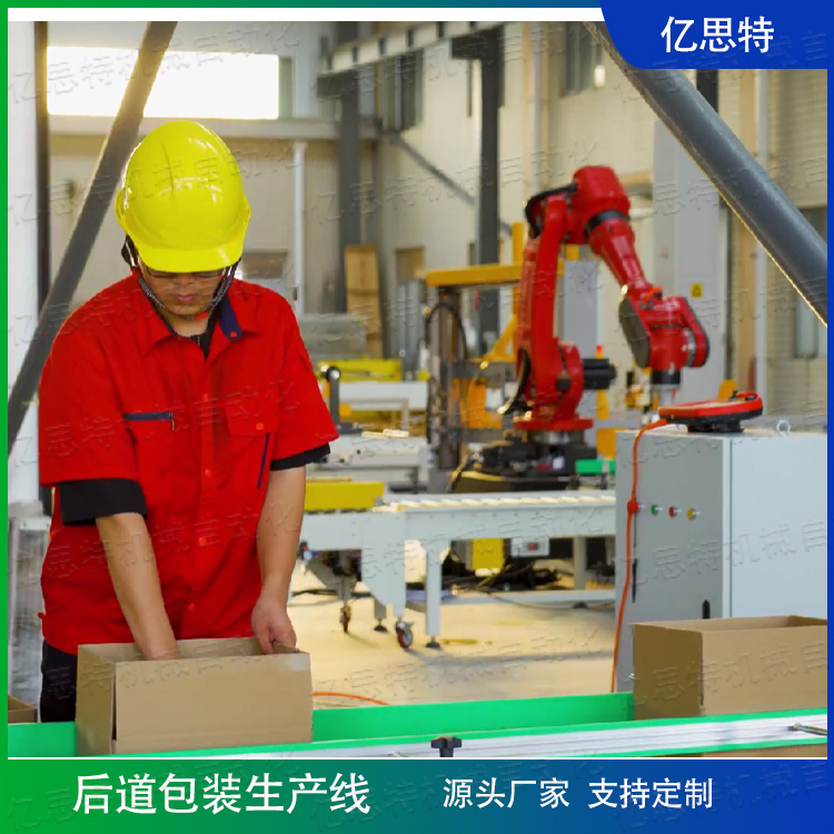 纸箱智能后段包装产线案例